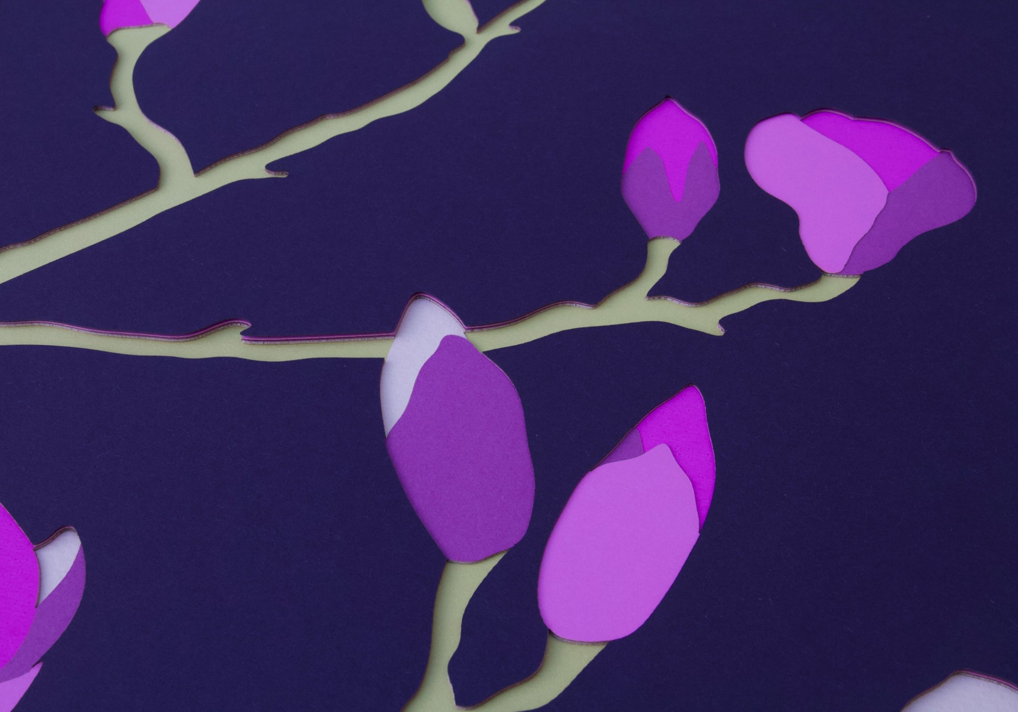 violet magnolia blossoms