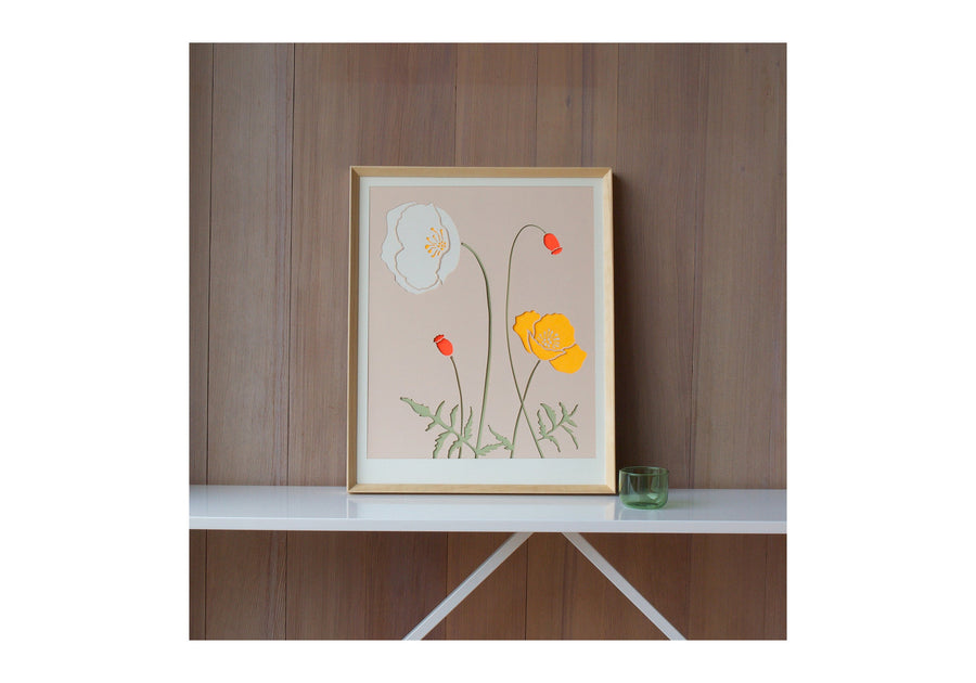 orange iceland poppy