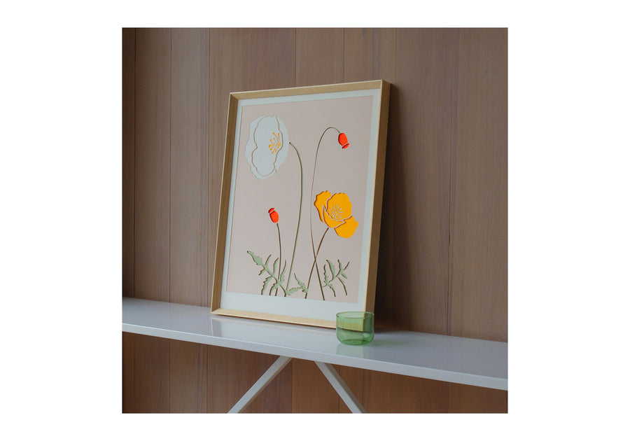 orange iceland poppy