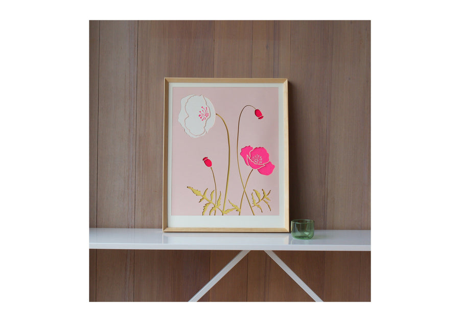 pink iceland poppy