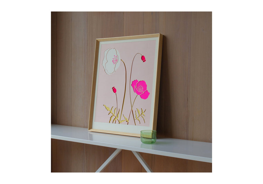 pink iceland poppy