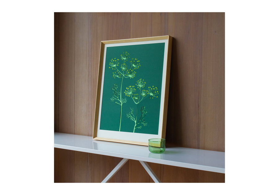 wild fennel